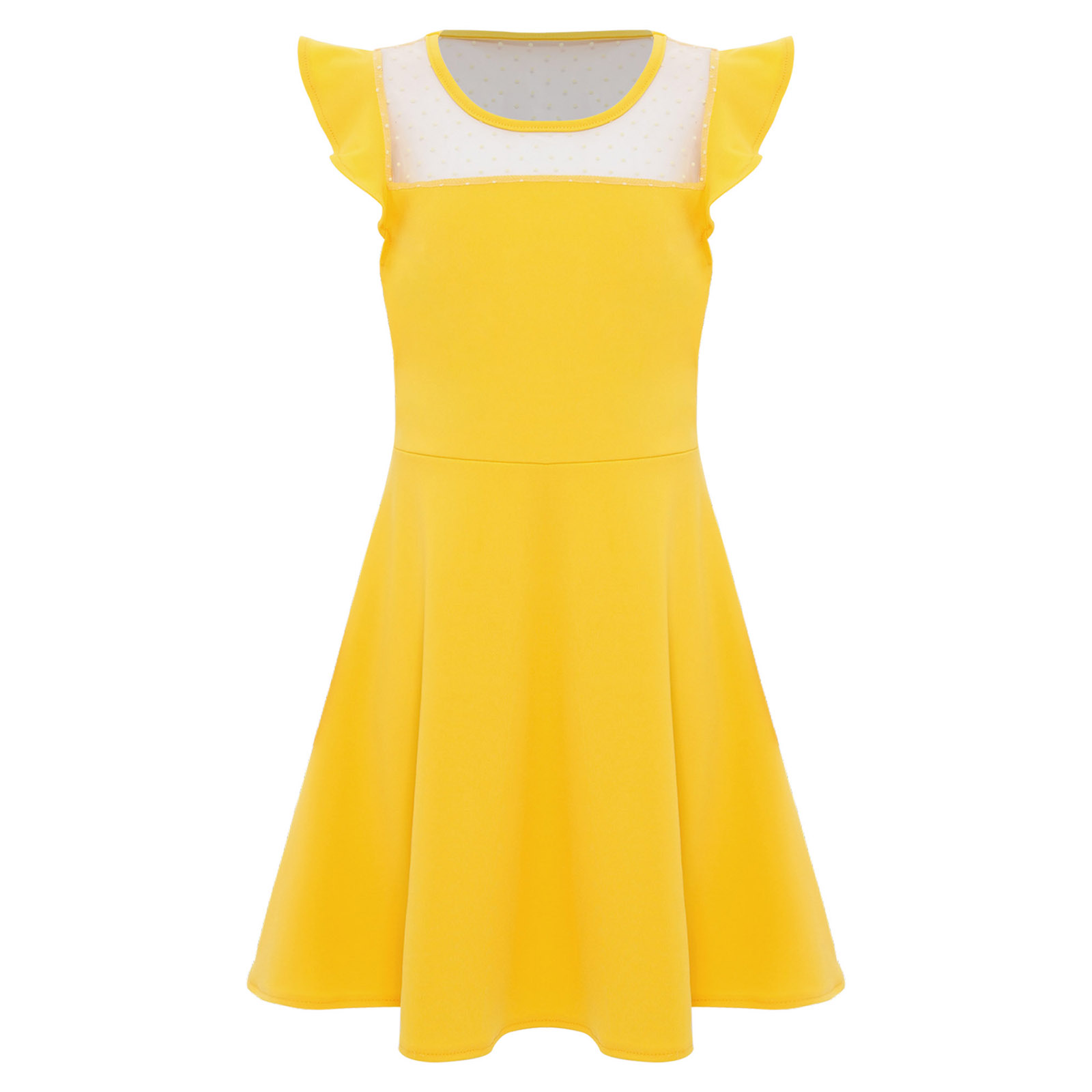십대 소녀 여름 드레스 러플 소매 도트 시스루 메쉬 A - Summer Clothing For Kids Girls 리뷰 및 가격