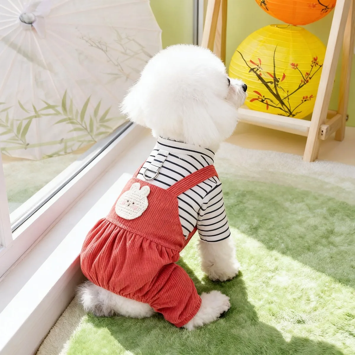 애완동물 의류, 강아지 의류, 봄여름 테디 4다리 스트 - Summer Days Clothing 리뷰 및 가격
